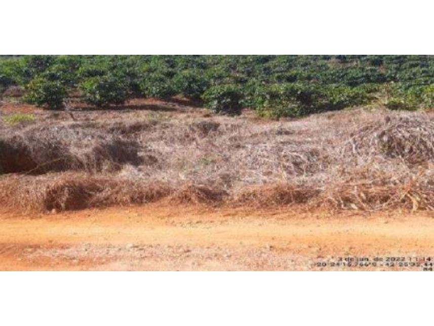 Imagem 3 do Leilão de Área Rural - Zona Rural - Bom Sucesso/MG