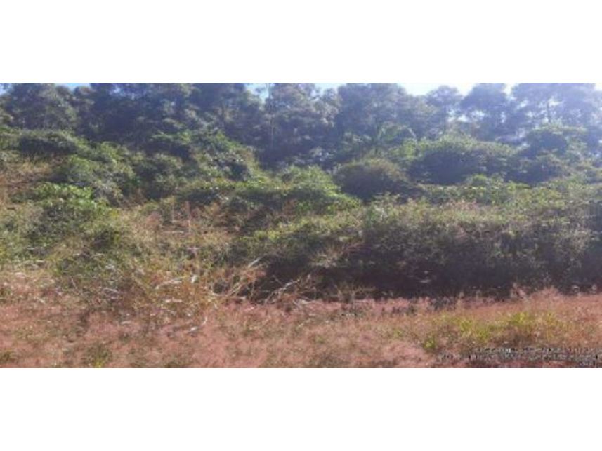 Imagem 4 do Leilão de Área Rural - Zona Rural - Bom Sucesso/MG
