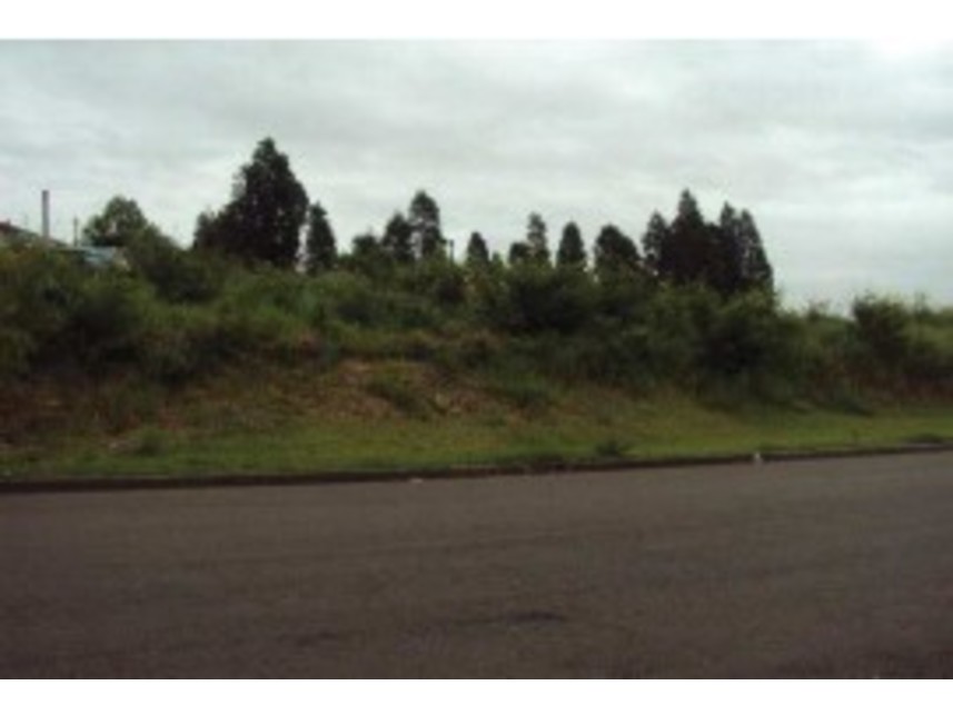 Imagem  do Leilão de Terreno - Engenho Velho - Porto Feliz/SP