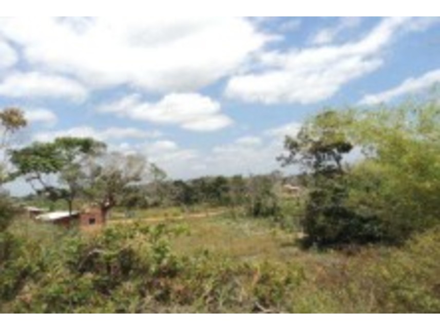 Imagem 3 do Leilão de Áreas Rurais - Fazenda Boa Sorte - Entre Rios/BA