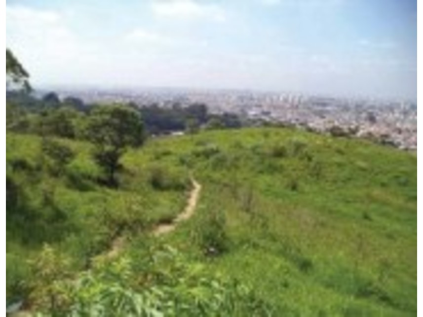 Imagem 3 do Leilão de Terreno - Pirituba - São Paulo/SP
