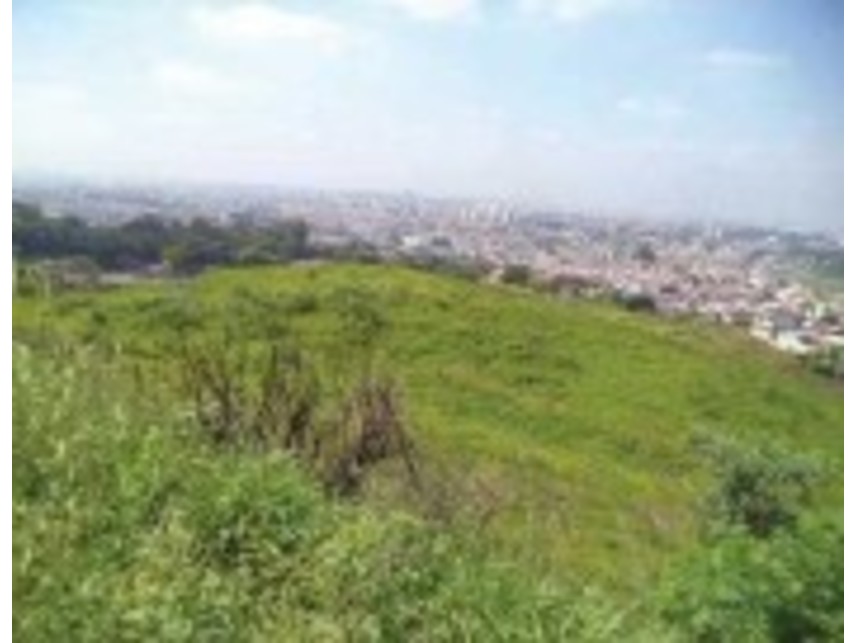 Imagem 2 do Leilão de Terreno - Pirituba - São Paulo/SP