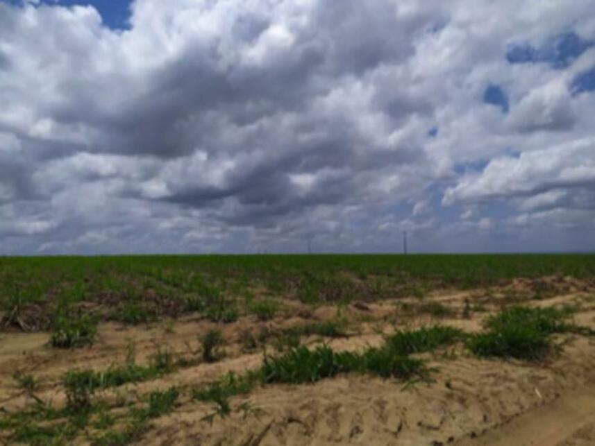 Imagem 3 do Leilão de Fazenda - Fazenda São José - Mamanguape/PB
