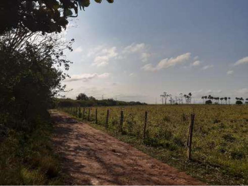 Imagem 6 do Leilão de Sítio - Parque Aurora - Campos dos Goytacazes/RJ