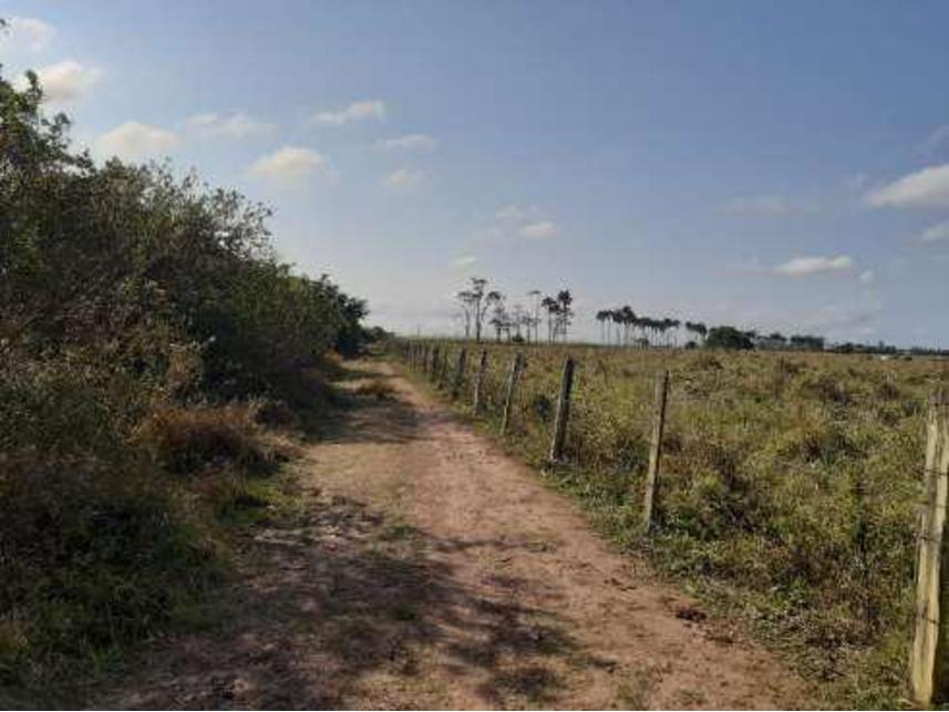 Imagem 5 do Leilão de Sítio - Parque Aurora - Campos dos Goytacazes/RJ