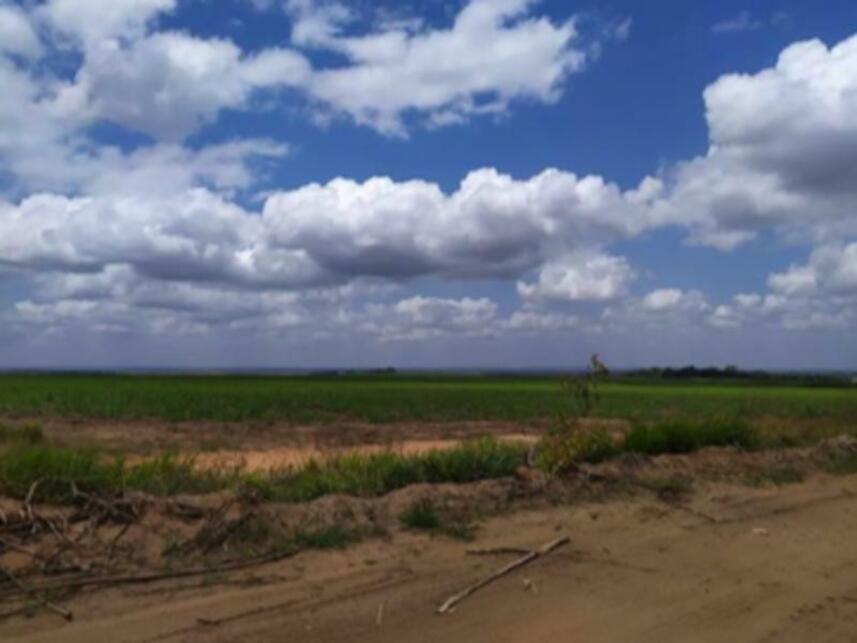 Imagem 2 do Leilão de Fazenda - Fazenda São José - Mamanguape/PB