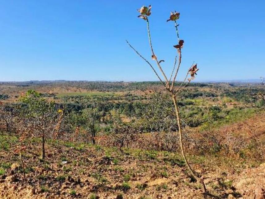 Imagem 2 do Leilão de Fazenda - Fazenda Campo Alegra - Jaboticatubas/MG