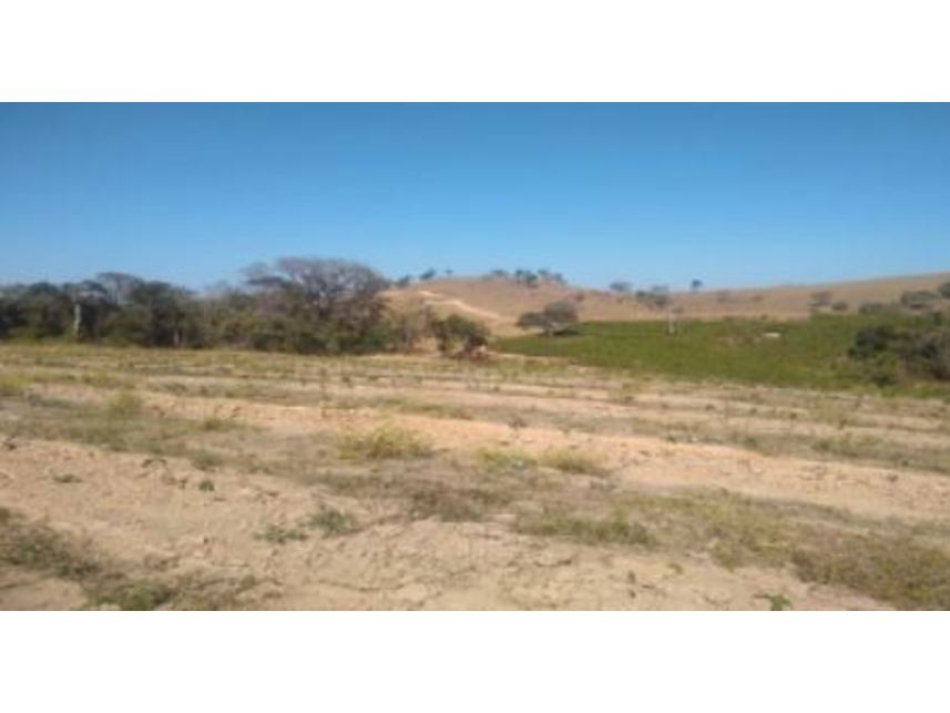 Imagem  do Leilão de Gleba de Terras - Zona Rural - Nepomuceno/MG