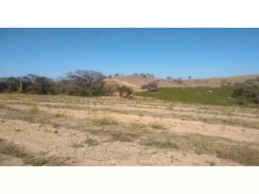 Imagem  do Leilão de Gleba de Terras - Zona Rural - Nepomuceno/MG