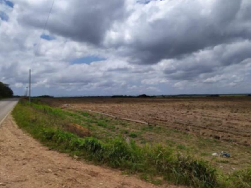 Imagem 4 do Leilão de Fazenda - Fazenda São José - Mamanguape/PB