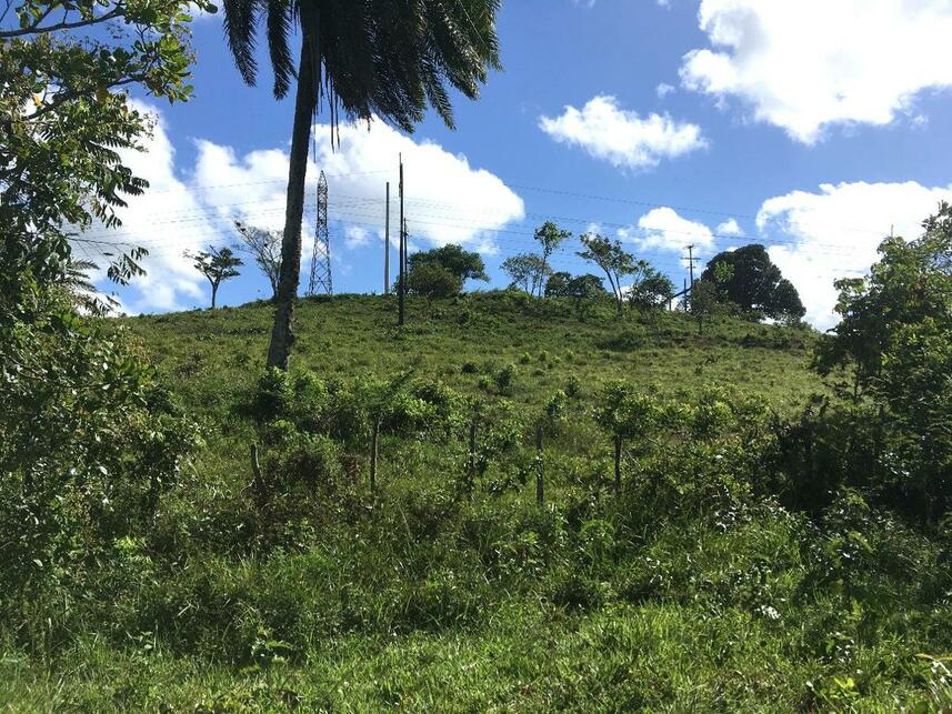 Imagem 1 do Leilão de Terreno - Distrito Industrial - Candeias/BA