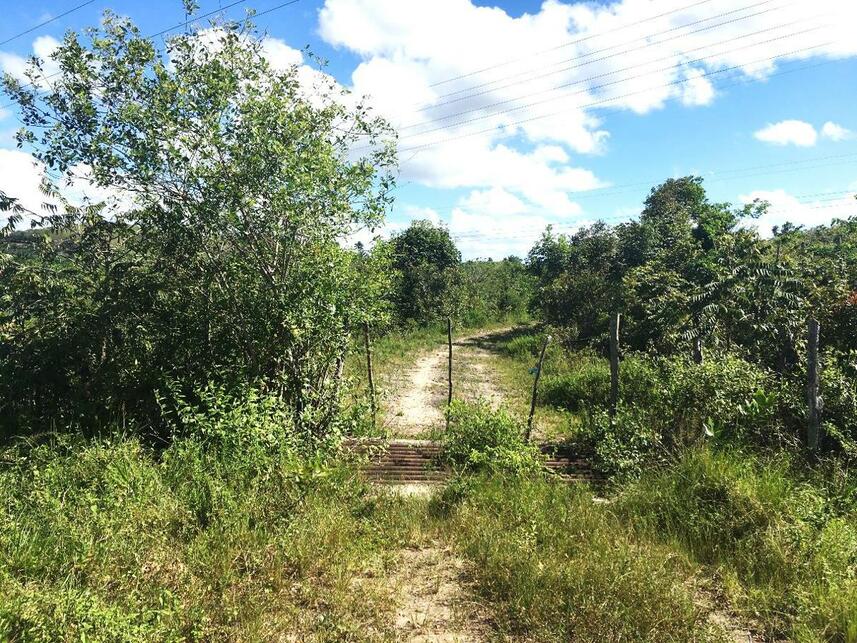 Imagem 2 do Leilão de Terreno - Distrito Industrial - Candeias/BA