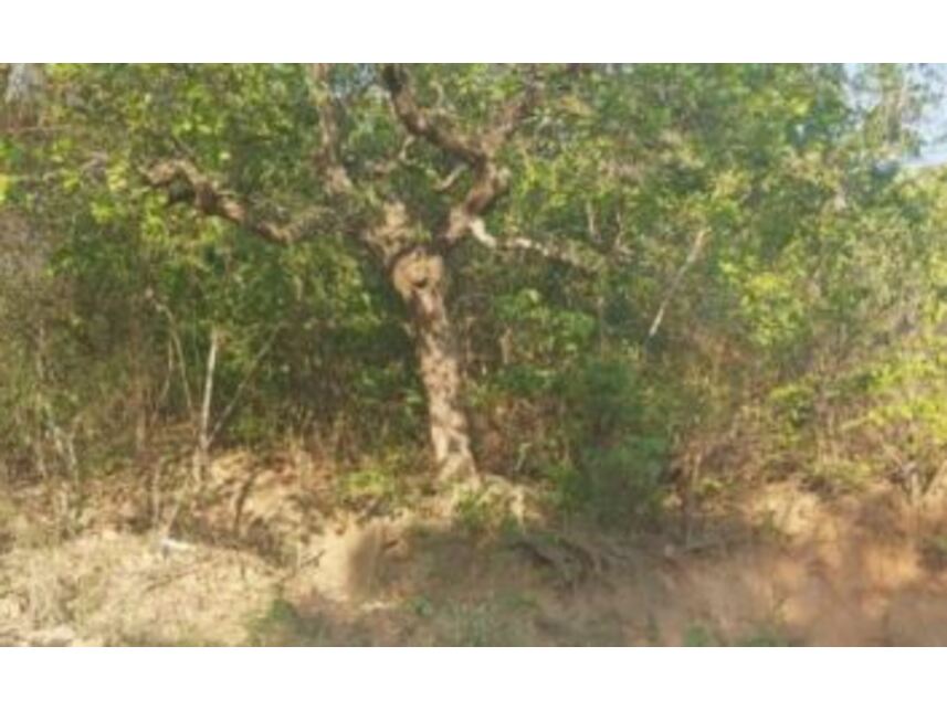 Imagem 3 do Leilão de Terreno - Horto - Juazeiro do Norte/CE