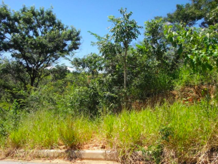 Imagem 2 do Leilão de Terreno - Residencial Portal do Moinho - Sete Lagoas/MG