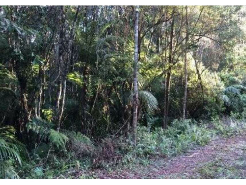 Imagem 2 do Leilão de Terreno - Balneário Veredas - Itapoá/SC