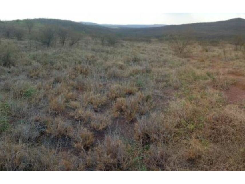 Imagem  do Leilão de Área Rural - Zona Rural - Sebastião Laranjeiras/BA