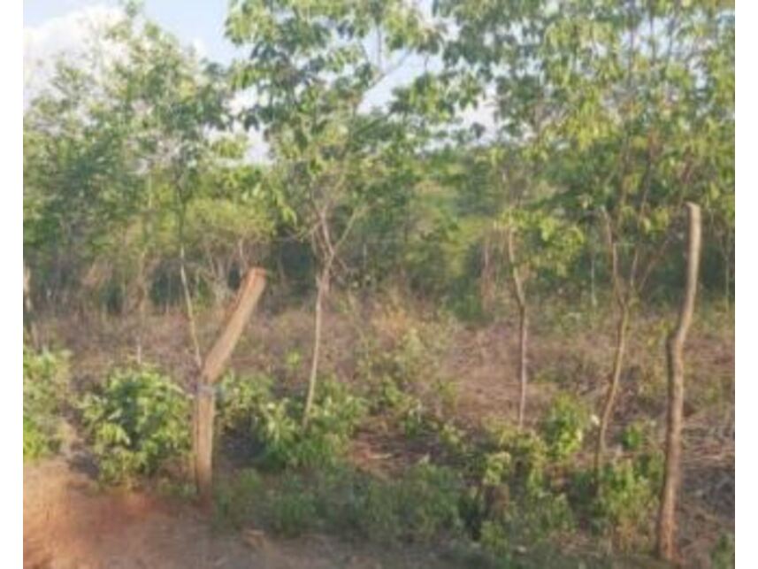 Imagem 2 do Leilão de Terreno - Horto - Juazeiro do Norte/CE