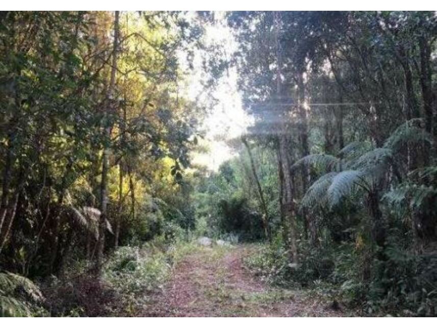 Imagem 1 do Leilão de Terreno - Balneário Veredas - Itapoá/SC