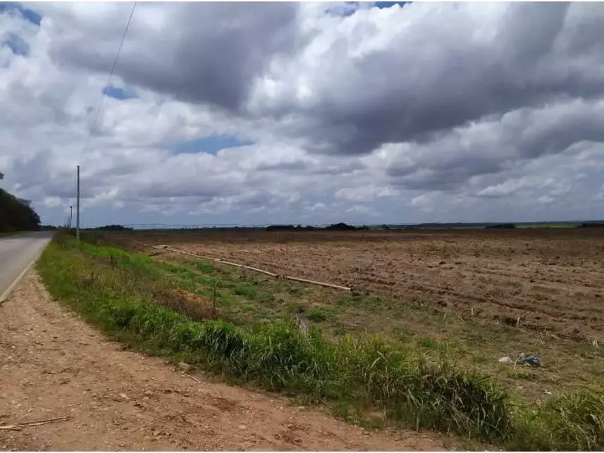 Imagem 2 do Leilão de Fazenda - Fazenda São José - Mamanguape/PB