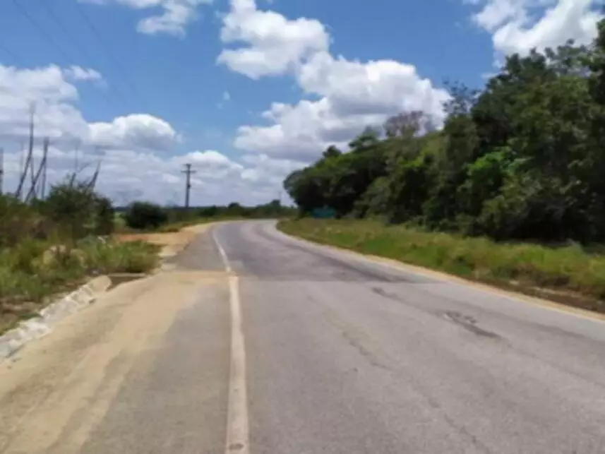 Imagem 7 do Leilão de Fazenda - Fazenda São José - Mamanguape/PB