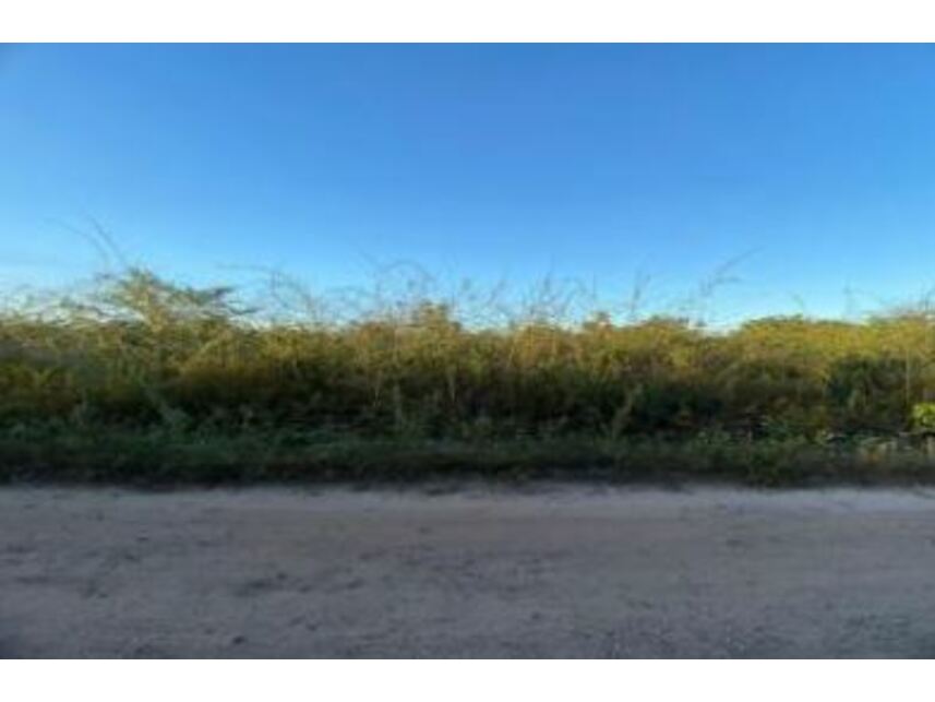 Imagem  do Leilão de Terreno - Parque Moisés Amorim - Chapadinha/MA