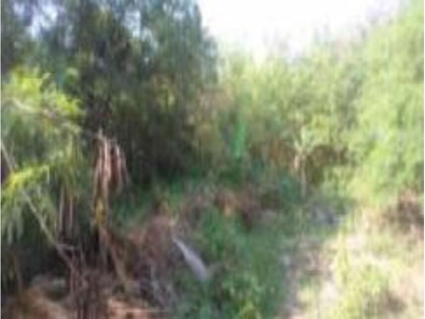 Imagem 3 do Leilão de Terreno - Freguesia de Campo Grande - Rio de Janeiro/RJ