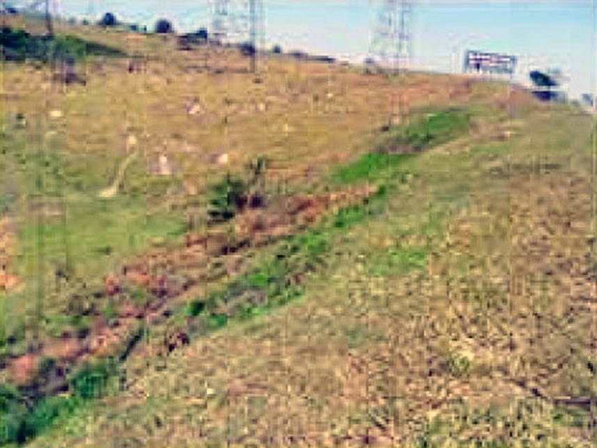 Imagem 3 do Leilão de Terreno - Quatinga - Lorena/SP