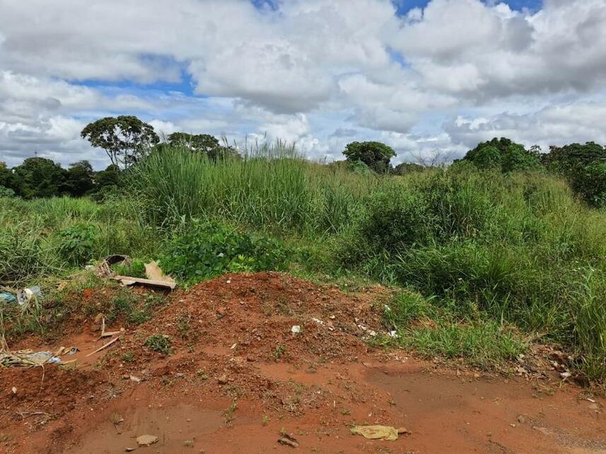 Imagem 21 do Leilão de Terreno - Parque Jk - Luziânia/GO