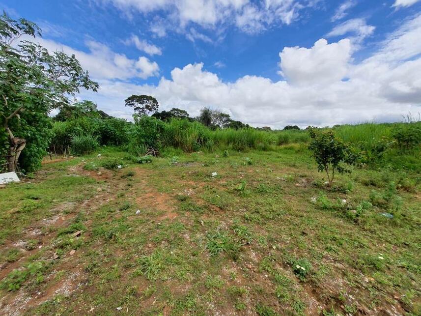 Imagem 19 do Leilão de Terreno - Parque Jk - Luziânia/GO
