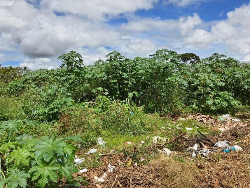 Imagem 2 do Leilão de Terreno - Parque Jk - Luziânia/GO