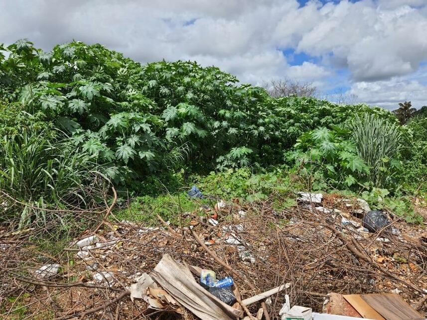 Imagem 13 do Leilão de Terreno - Parque Jk - Luziânia/GO