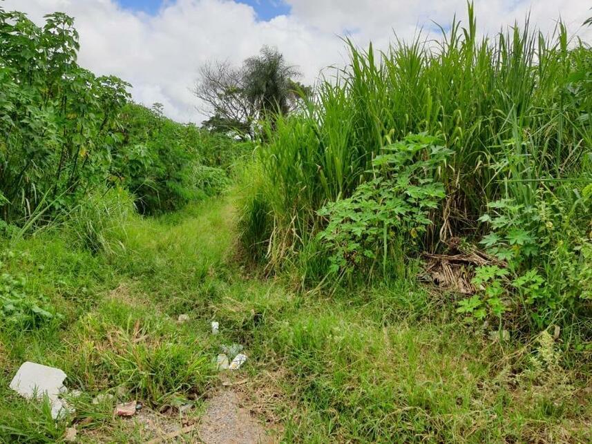 Imagem 30 do Leilão de Terreno - Parque Jk - Luziânia/GO