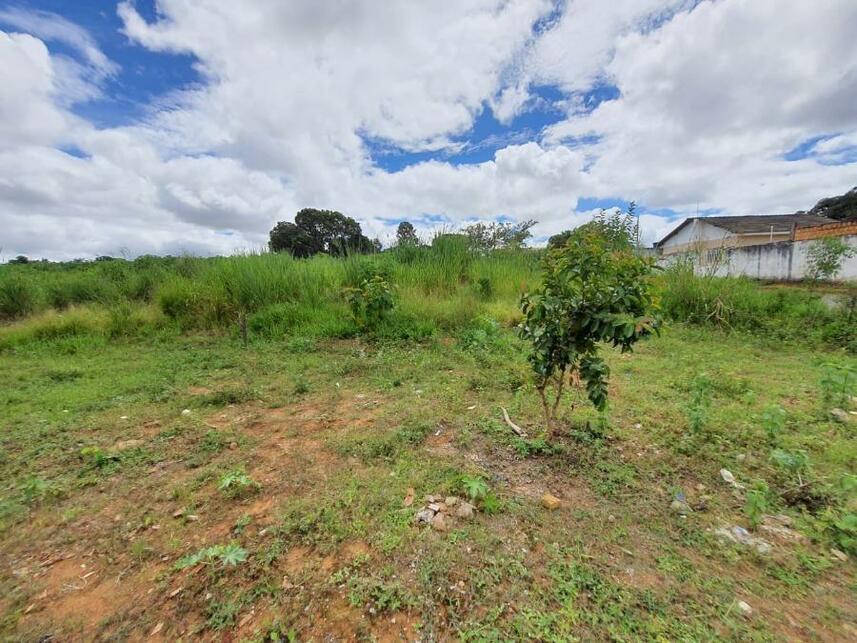 Imagem 32 do Leilão de Terreno - Parque Jk - Luziânia/GO