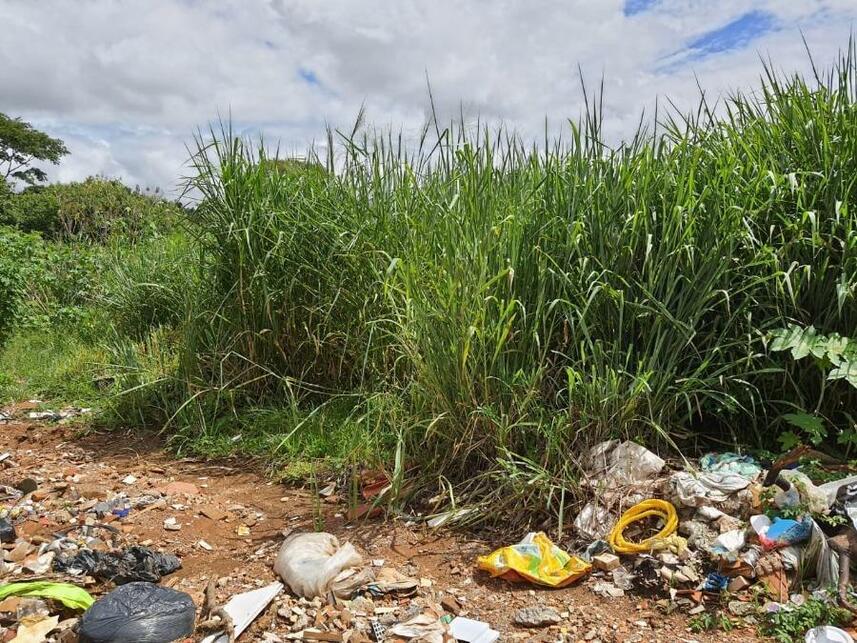 Imagem 24 do Leilão de Terreno - Parque Jk - Luziânia/GO