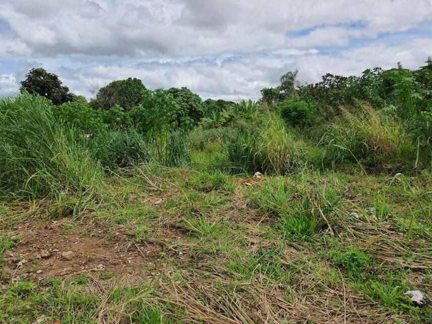 Imagem 18 do Leilão de Terreno - Parque Jk - Luziânia/GO