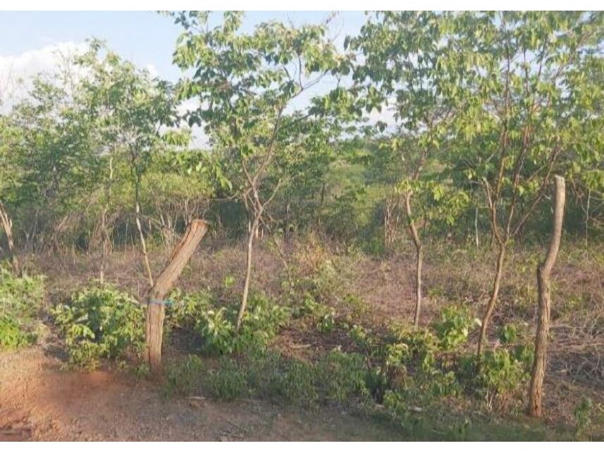 Imagem 1 do Leilão de Terreno - Horto - Juazeiro do Norte/CE