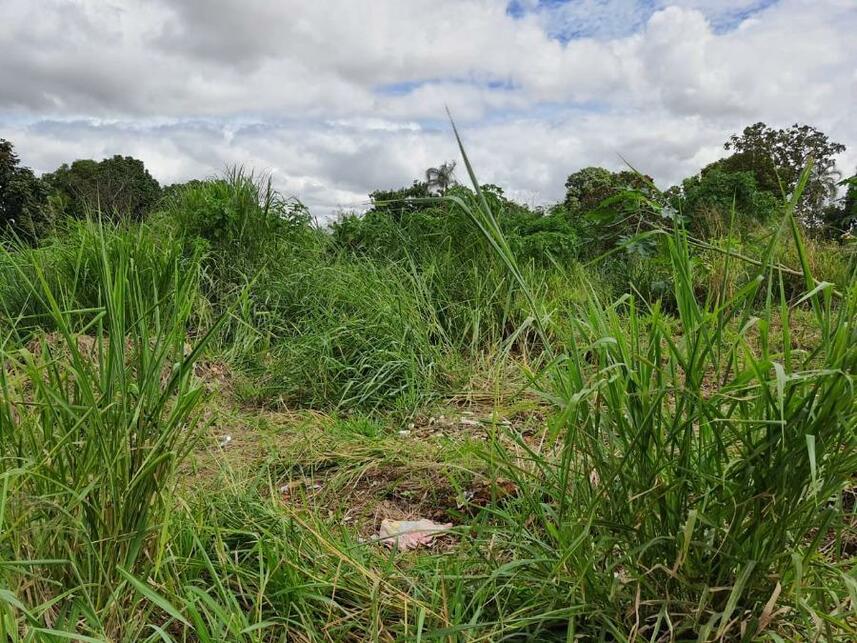 Imagem 12 do Leilão de Terreno - Parque Jk - Luziânia/GO