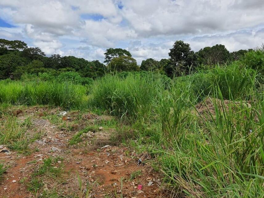 Imagem 33 do Leilão de Terreno - Parque Jk - Luziânia/GO