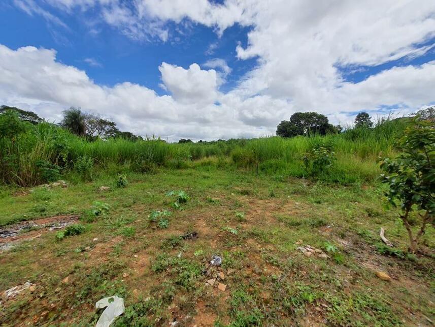 Imagem 23 do Leilão de Terreno - Parque Jk - Luziânia/GO