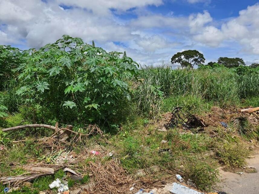 Imagem 27 do Leilão de Terreno - Parque Jk - Luziânia/GO