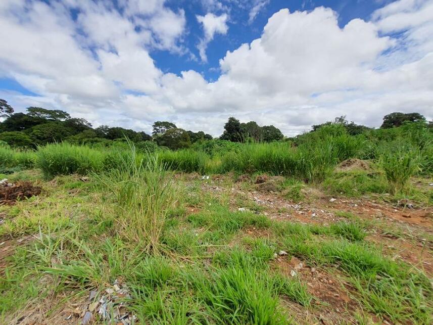 Imagem 20 do Leilão de Terreno - Parque Jk - Luziânia/GO