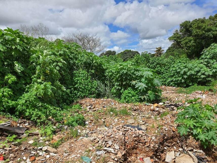 Imagem 3 do Leilão de Terreno - Parque Jk - Luziânia/GO
