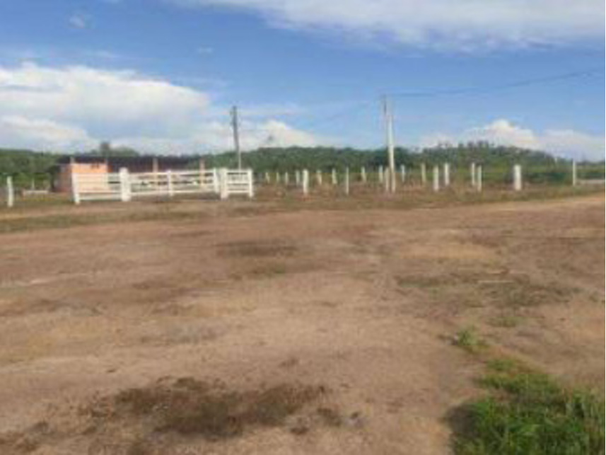 Imagem 4 do Leilão de Área Rural - Zona Rural - Novo Repartimento/PA