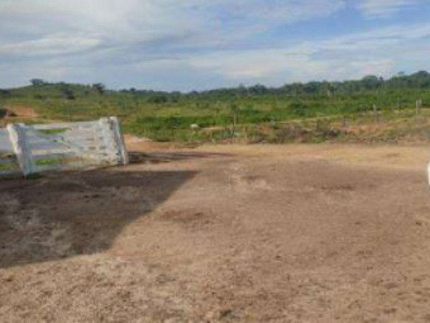 Imagem 5 do Leilão de Área Rural - Zona Rural - Novo Repartimento/PA