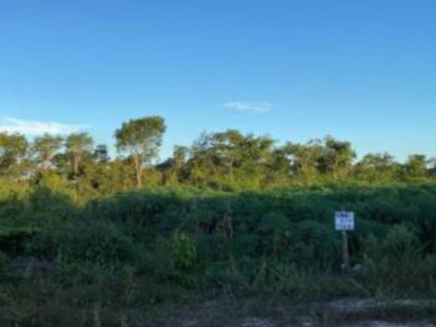 Imagem  do Leilão de Terreno - Parque Moises Amorim - Chapadinha/MA