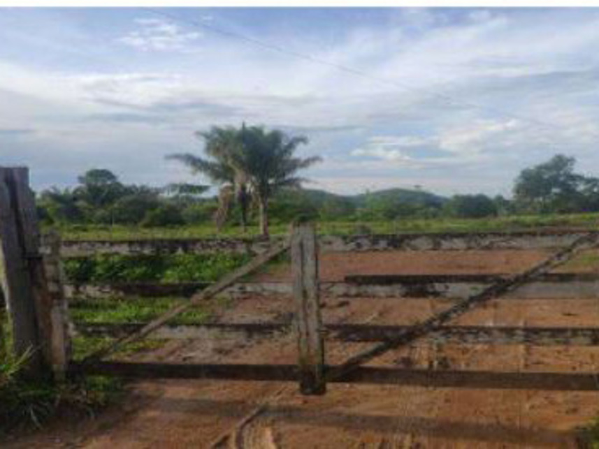 Imagem 2 do Leilão de Área Rural - Zona Rural - Novo Repartimento/PA