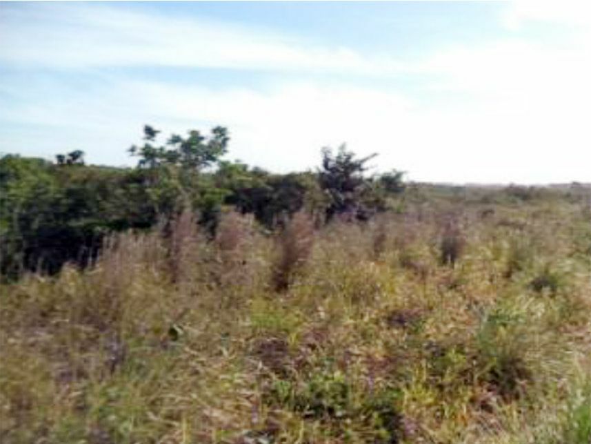 Imagem 1 do Leilão de Terreno - Zona Industrial - Camaçari/BA