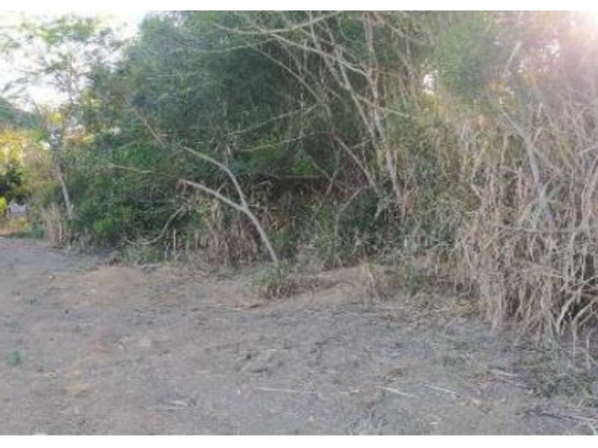 Imagem 9 do Leilão de Terreno - Planalto - Ibirapuã/BA