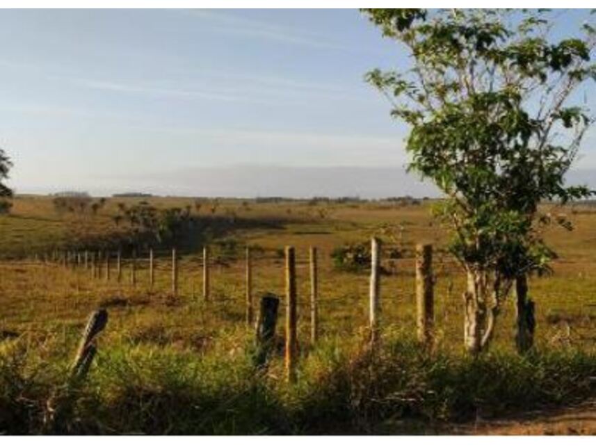 Imagem 8 do Leilão de Terreno - Planalto - Ibirapuã/BA