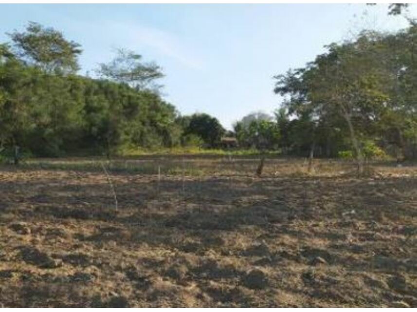 Imagem 7 do Leilão de Terreno - Planalto - Ibirapuã/BA